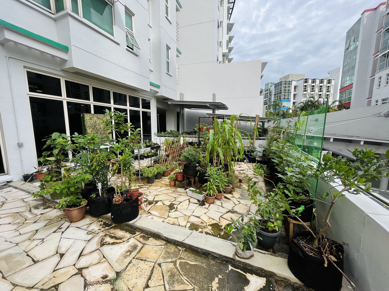 green-corner-at-pgpr